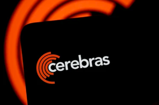 Was ist Cerebras Systems?